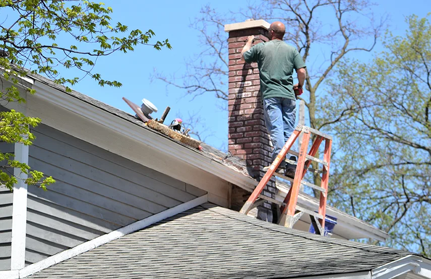Chimney & Fireplace Inspections Services in Forest Park, OH